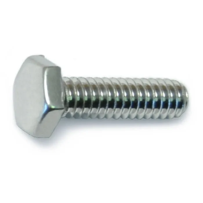 1/4"-20 x 7/8" Polished 18-8 Stainless Hex Cap Screws (8 pcs.)