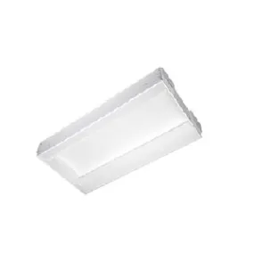 Advantage Environmental Lighting SDI High Performance Lay-In Center Basket Fluorescent Luminaire