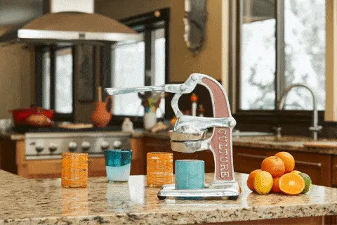 Artisan Citrus Juicer - Small