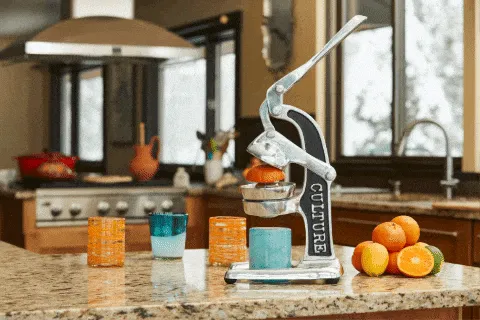 Artisan Citrus Juicer - Small