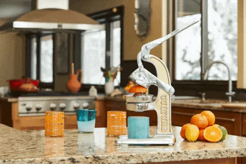 Artisan Citrus Juicer - Small