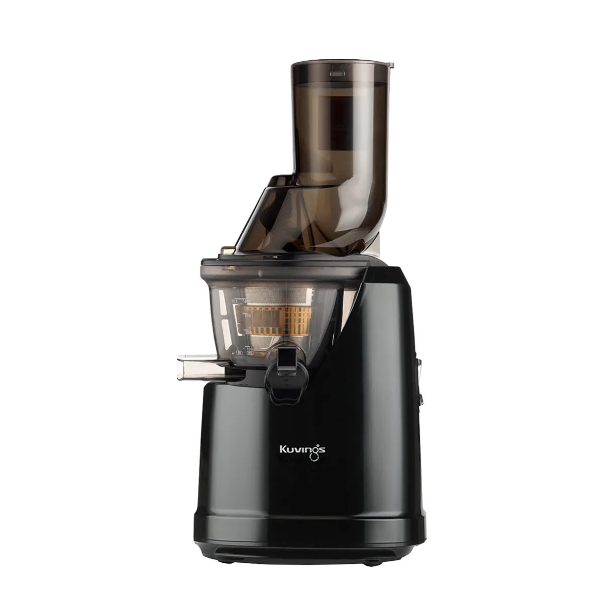 B1700 Cold Press Juicer