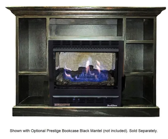 Buck Stove Model 1127 25,000 BTU's Vent Free Gas Stove New