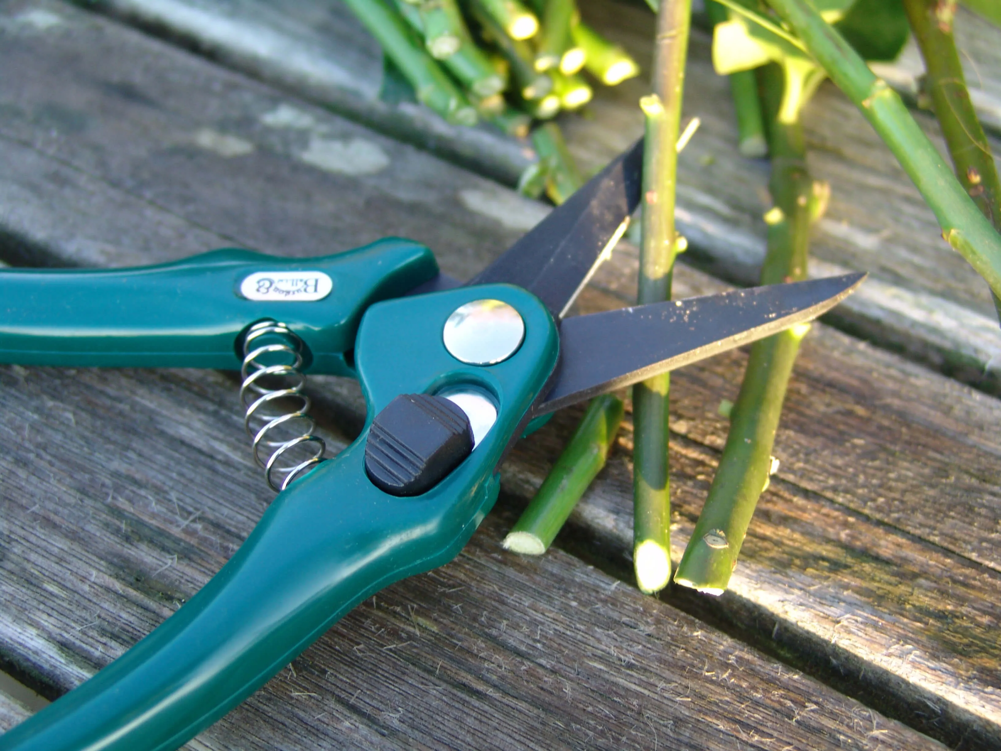 Burgon & Ball Florists' Shear