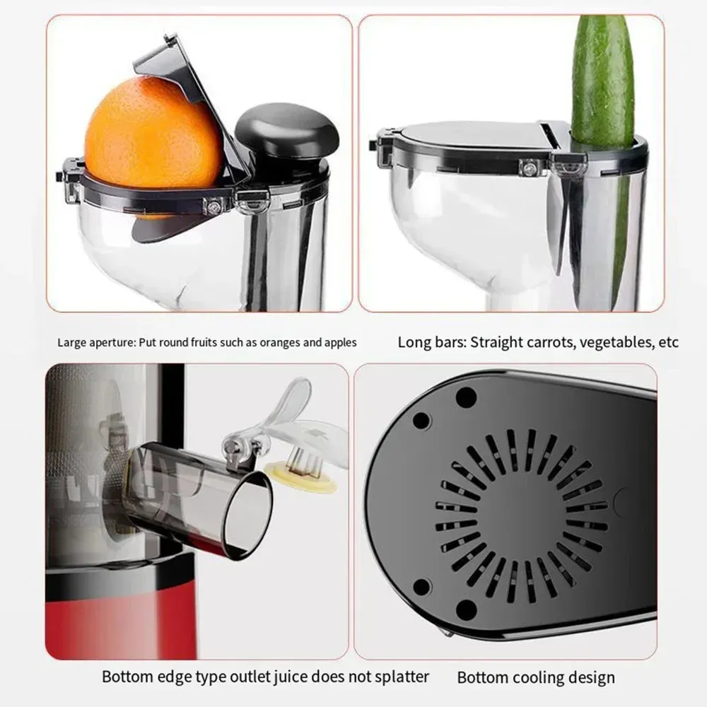 Electric Masticating Quick Vitamin Juicer Machine