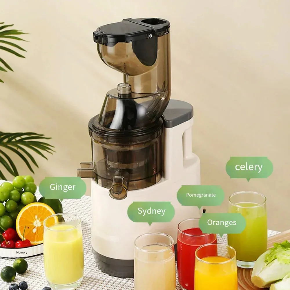 Electric Masticating Quick Vitamin Juicer Machine