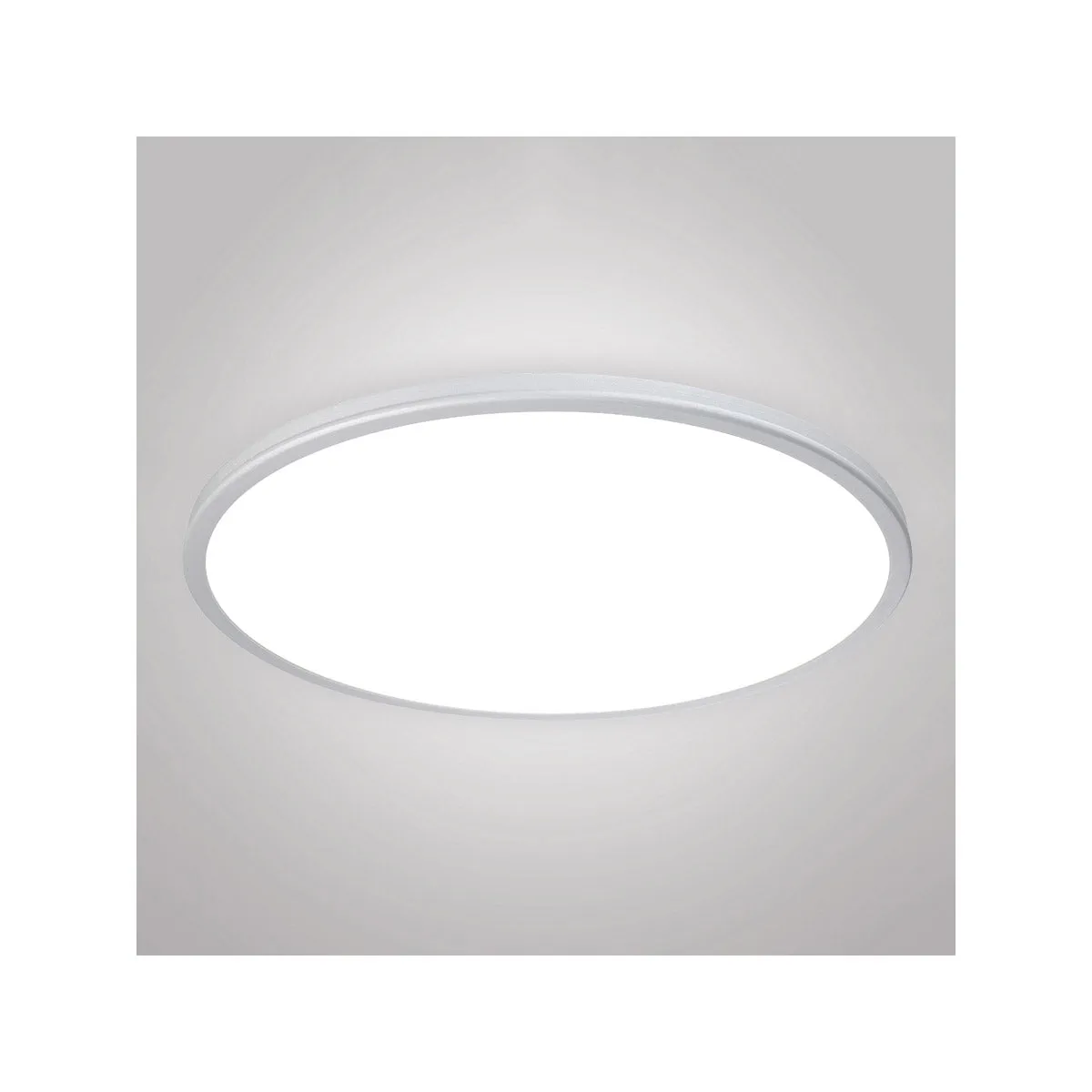 Geos 22 in. LED Disk Light 3000K Silver Finish