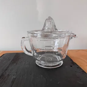 Glass Citrus Juicer