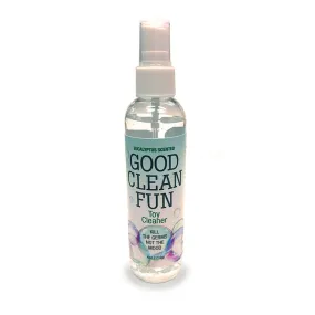 GOOD CLEAN FUN EUCALYPTUS 4OZ CLEANER