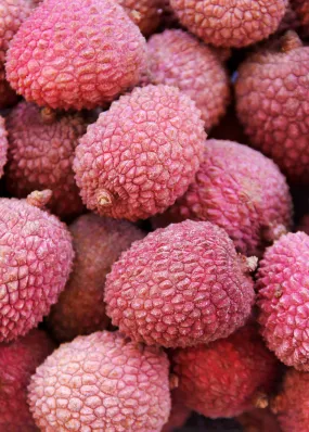 Lychee 'Sweetheart' (Litchi chinensis)