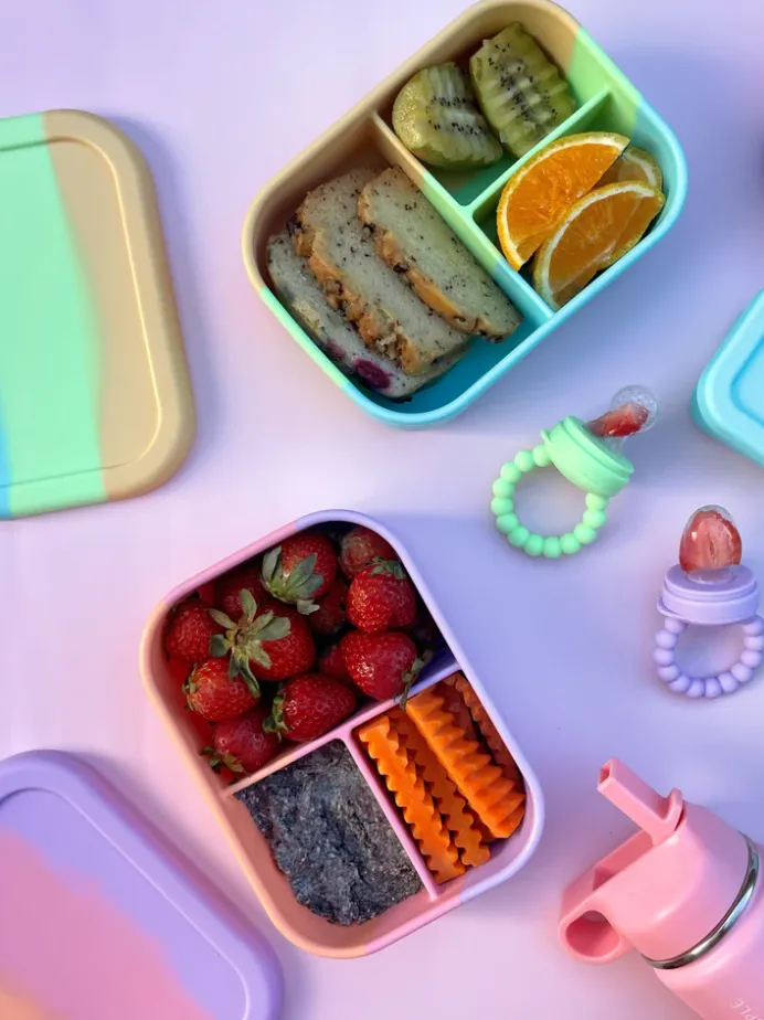 Silicone Bento Mini Box - Splice