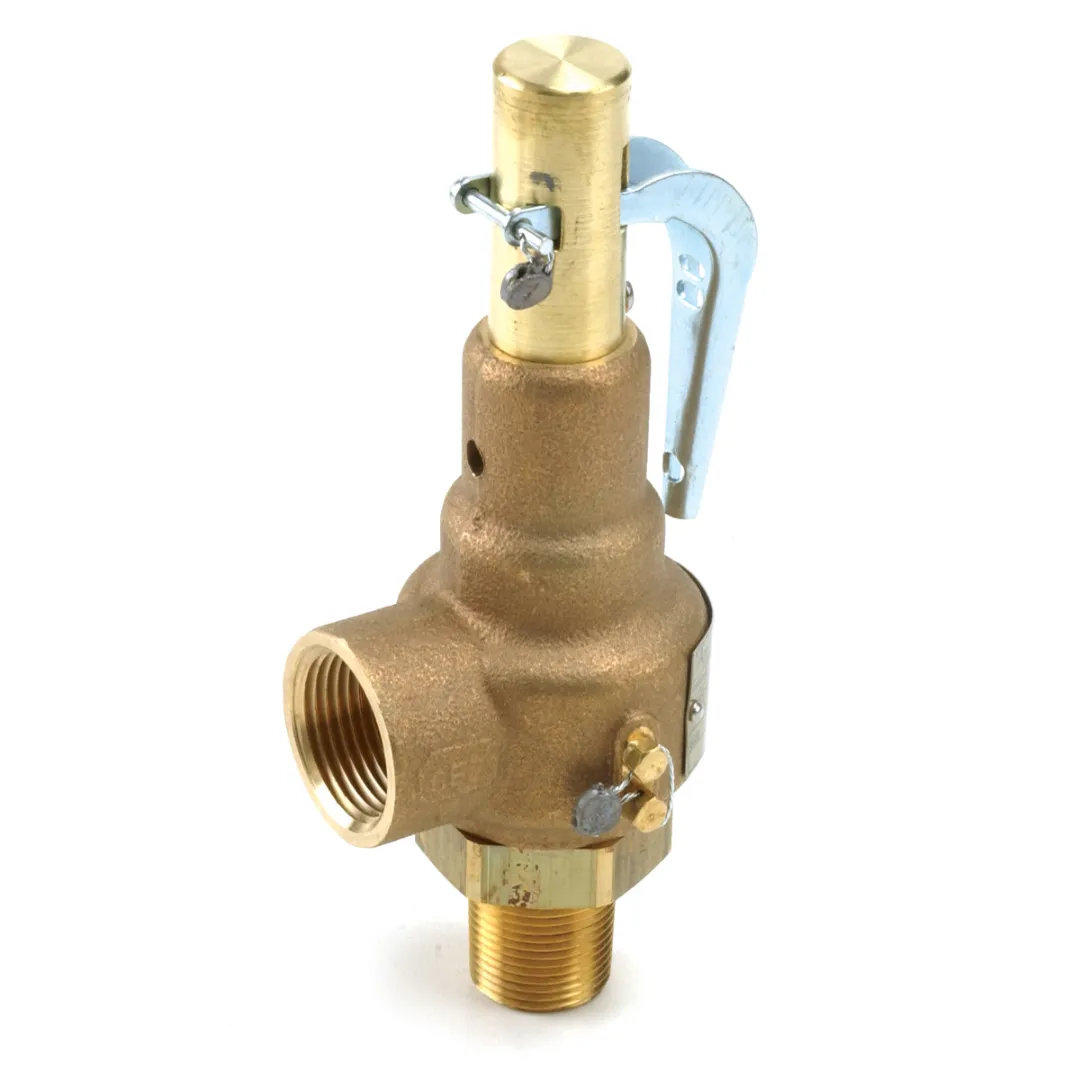 Steamaster Parts - Safety Valve